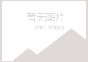 重庆紫山化学有限公司